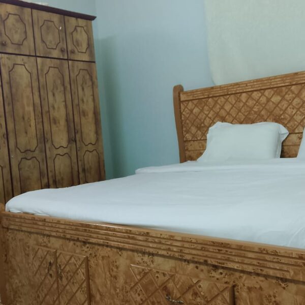 WhatsApp Image 2026-02-17 at 5.33.38 PM